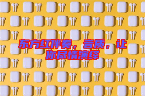 東方紅伴奏，音質，讓你盡情演繹