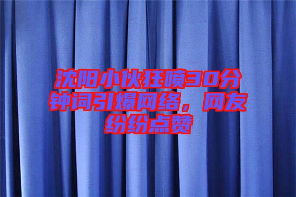 沈陽小伙狂噴30分鐘詞引爆網(wǎng)絡(luò)，網(wǎng)友紛紛點贊