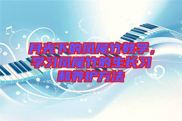 月光下的鳳尾竹教學(xué)，學(xué)習(xí)鳳尾竹的生長(zhǎng)習(xí)和養(yǎng)護(hù)方法