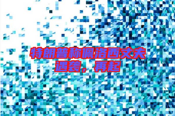 特朗普稱佩洛西丈夫遇襲，再起