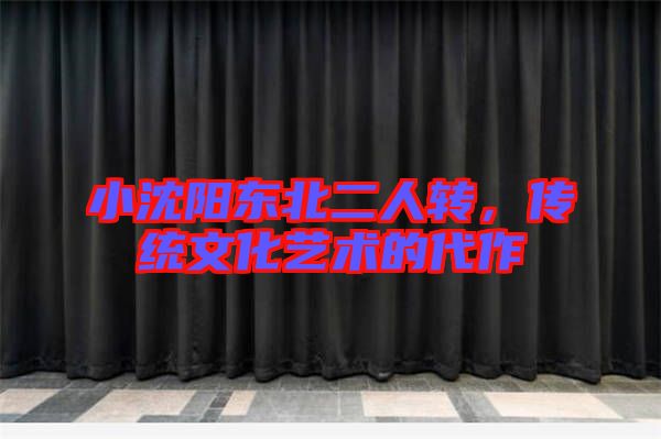 小沈陽(yáng)東北二人轉(zhuǎn)，傳統(tǒng)文化藝術(shù)的代作