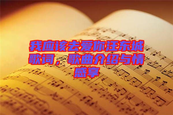 我應該去愛你汪東城歌詞，歌曲介紹與情感享