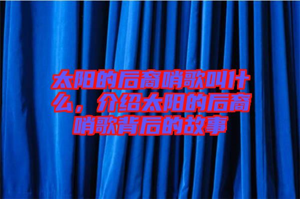 太陽的后裔哨歌叫什么，介紹太陽的后裔哨歌背后的故事