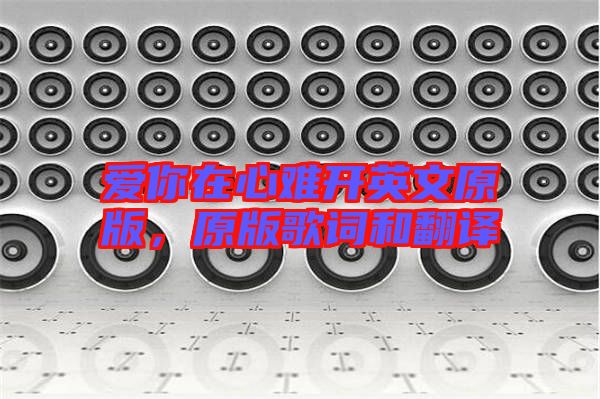 愛你在心難開英文原版，原版歌詞和翻譯