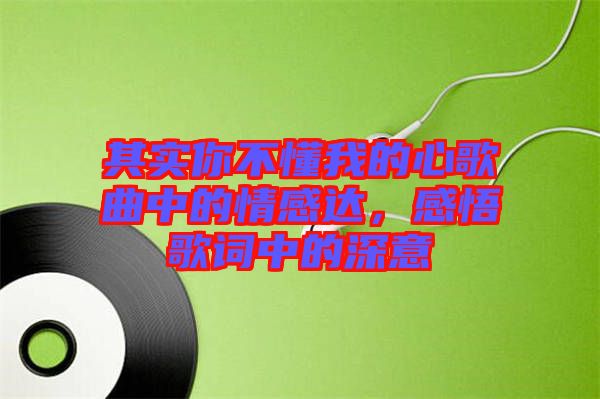 其實你不懂我的心歌曲中的情感達(dá)，感悟歌詞中的深意
