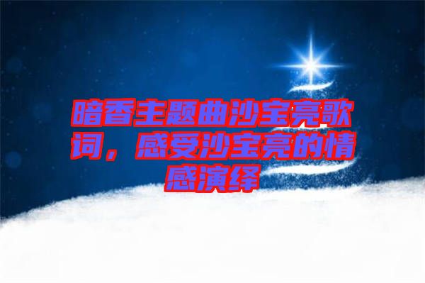 暗香主題曲沙寶亮歌詞，感受沙寶亮的情感演繹