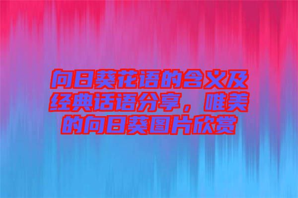 向日葵花語的含義及經(jīng)典話語分享，唯美的向日葵圖片欣賞