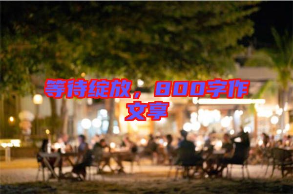 等待綻放，800字作文享