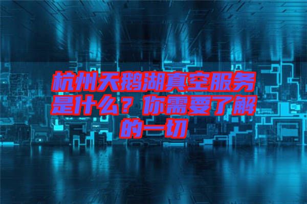 杭州天鵝湖真空服務(wù)是什么？你需要了解的一切