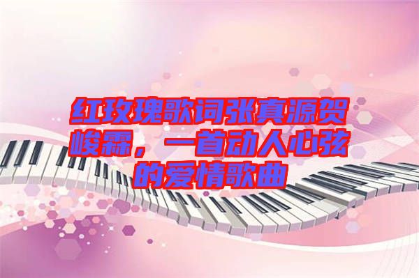 紅玫瑰歌詞張真源賀峻霖，一首動人心弦的愛情歌曲