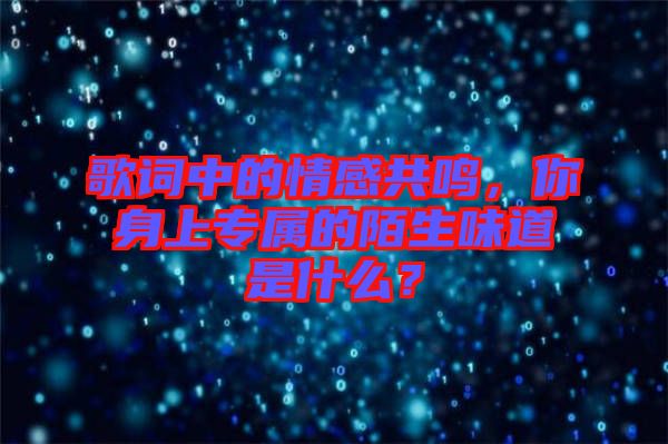 歌詞中的情感共鳴，你身上專屬的陌生味道是什么？