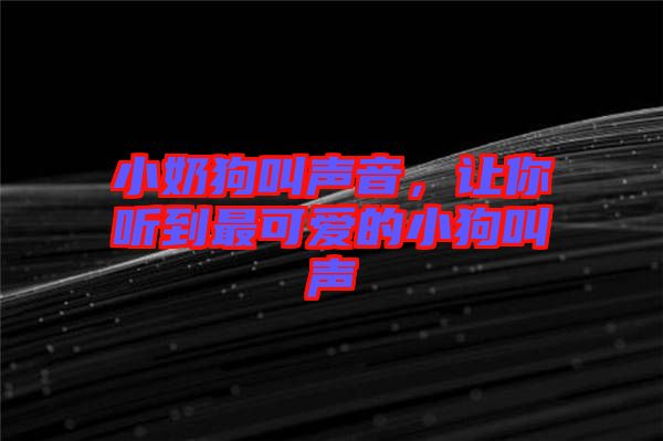 小奶狗叫聲音，讓你聽到最可愛的小狗叫聲
