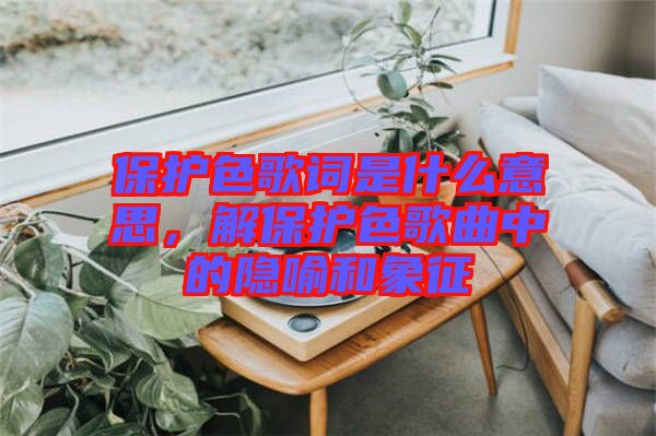 保護(hù)色歌詞是什么意思，解保護(hù)色歌曲中的隱喻和象征