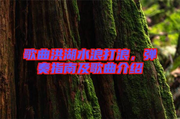 歌曲洪湖水浪打浪，彈奏指南及歌曲介紹