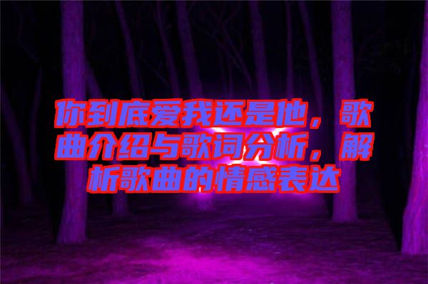 你到底愛我還是他，歌曲介紹與歌詞分析，解析歌曲的情感表達(dá)
