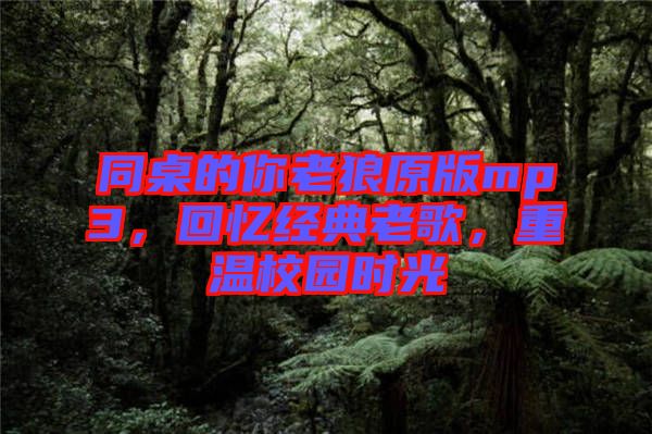 同桌的你老狼原版mp3，回憶經(jīng)典老歌，重溫校園時光