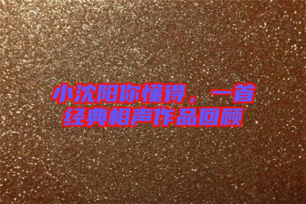 小沈陽你懂得，一首經(jīng)典相聲作品回顧