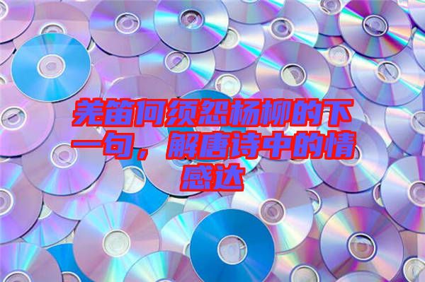 羌笛何須怨楊柳的下一句，解唐詩中的情感達(dá)