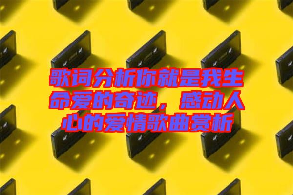 歌詞分析你就是我生命愛的奇跡，感動人心的愛情歌曲賞析