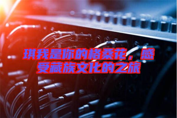 琪我是你的格桑花，感受藏族文化的之旅