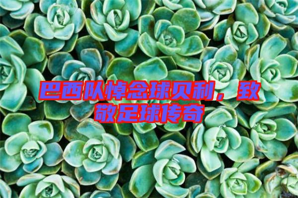 巴西隊悼念球貝利，致敬足球傳奇