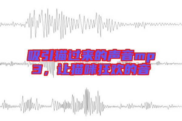 吸引貓過來的聲音mp3，讓貓咪狂歡的音