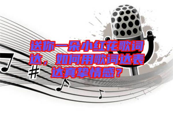 送你一朵小紅花歌詞達(dá)，如何用歌詞達(dá)表達(dá)真摯情感？