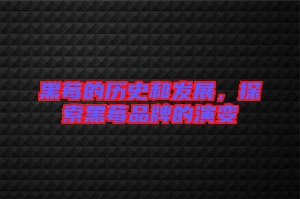 黑莓的歷史和發(fā)展，探索黑莓品牌的演變