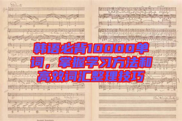 韓語必背10000單詞，掌握學(xué)習(xí)方法和高效詞匯整理技巧