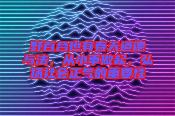 野百合也有春天道德與法，從小事做起，弘揚(yáng)社會正氣的重要性