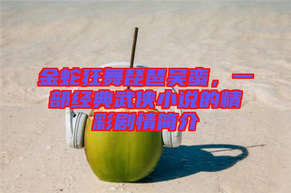 金蛇狂舞琵琶吳蠻，一部經(jīng)典武俠小說的精彩劇情簡介