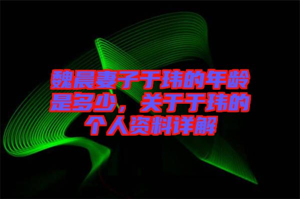 魏晨妻子于瑋的年齡是多少，關(guān)于于瑋的個人資料詳解
