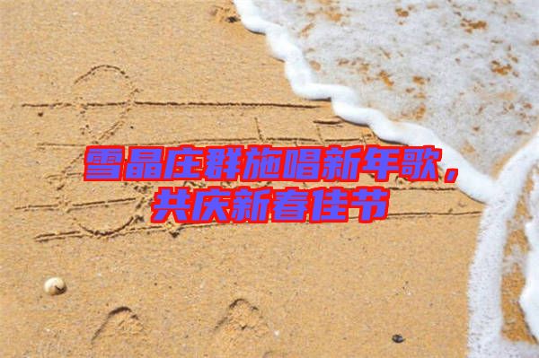 雪晶莊群施唱新年歌，共慶新春佳節(jié)