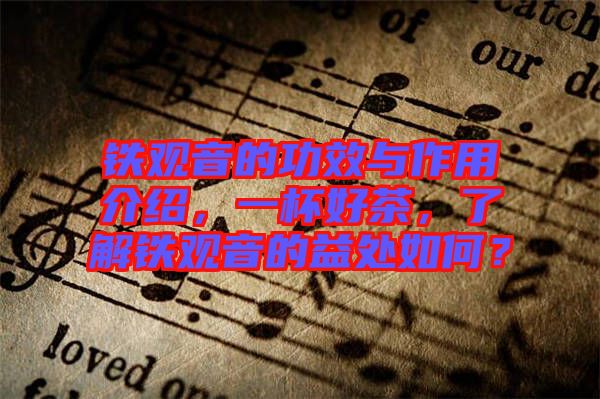 鐵觀音的功效與作用介紹，一杯好茶，了解鐵觀音的益處如何？