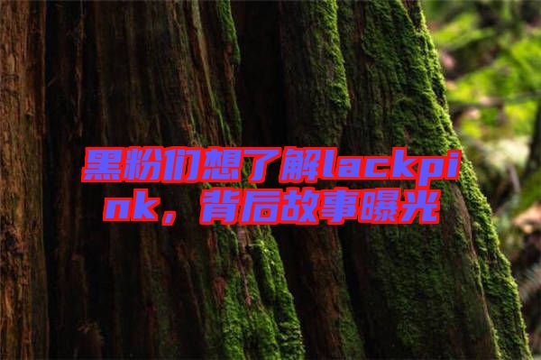 黑粉們想了解lackpink，背后故事曝光