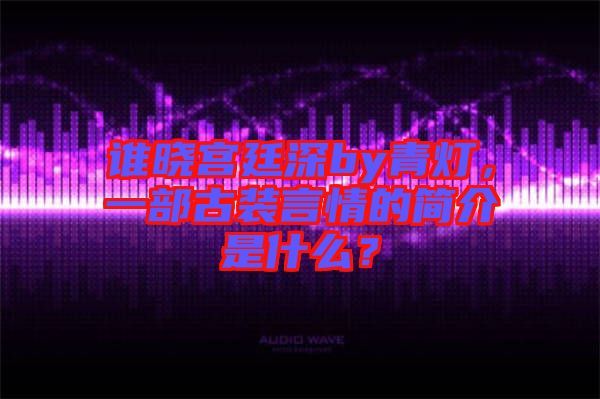 誰曉宮廷深by青燈，一部古裝言情的簡介是什么？