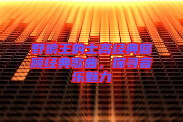 野狼王的士高經(jīng)典回顧經(jīng)典歌曲，探尋音樂魅力