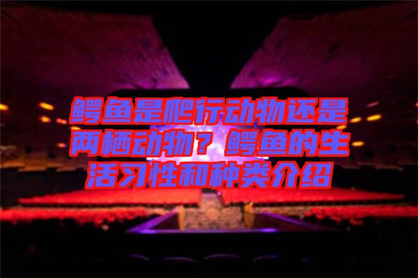 鱷魚是爬行動(dòng)物還是兩棲動(dòng)物？鱷魚的生活習(xí)性和種類介紹