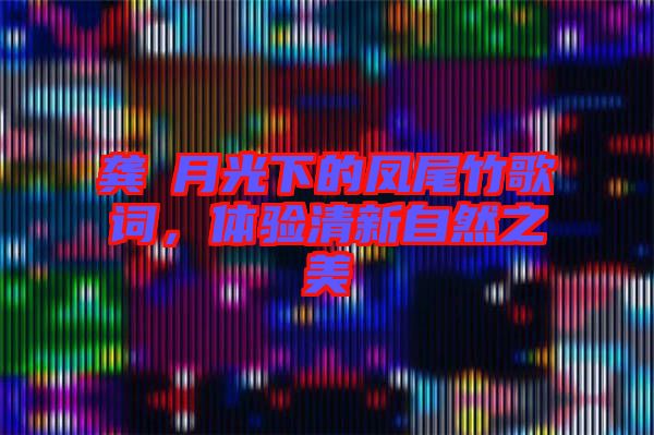 龔玥月光下的鳳尾竹歌詞，體驗清新自然之美