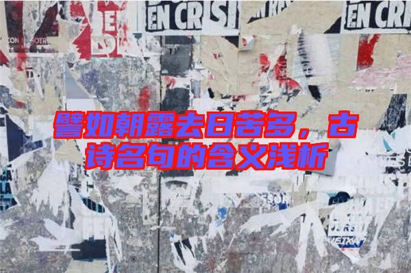 譬如朝露去日苦多，古詩(shī)名句的含義淺析