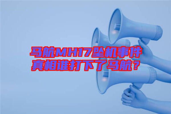 馬航MH17墜機事件真相誰打下了馬航？