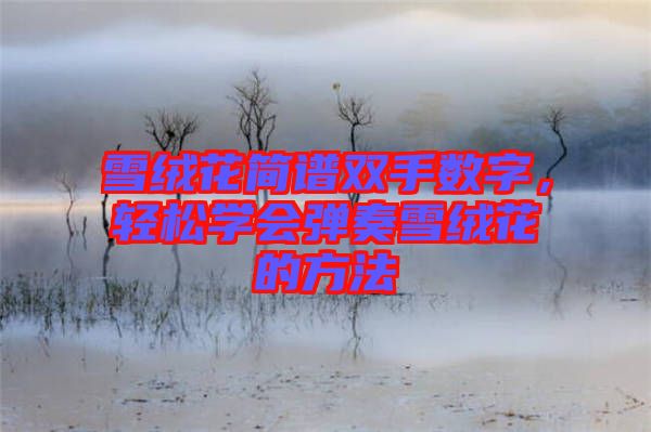 雪絨花簡譜雙手數字，輕松學會彈奏雪絨花的方法