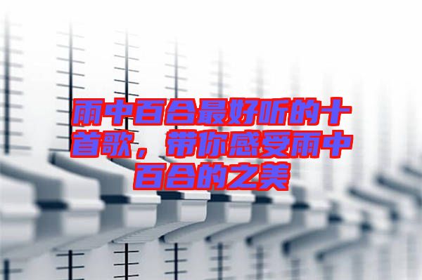 雨中百合最好聽的十首歌，帶你感受雨中百合的之美