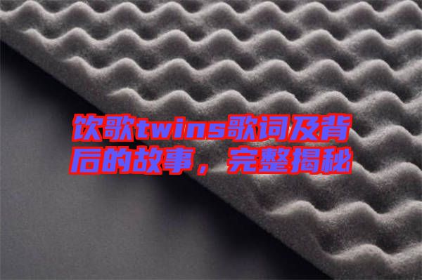飲歌twins歌詞及背后的故事，完整揭秘