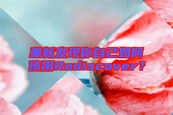重新發(fā)現(xiàn)你自己如何使用Rediscover？