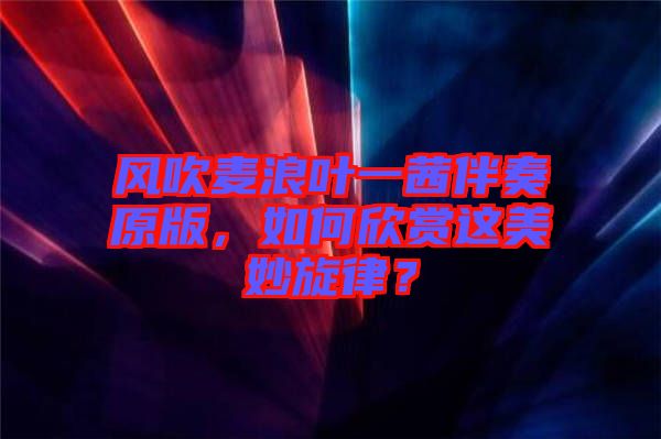 風(fēng)吹麥浪葉一茜伴奏原版，如何欣賞這美妙旋律？