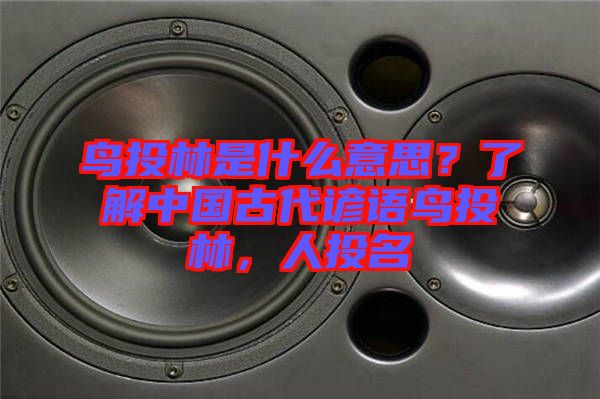 鳥投林是什么意思？了解中國古代諺語鳥投林，人投名