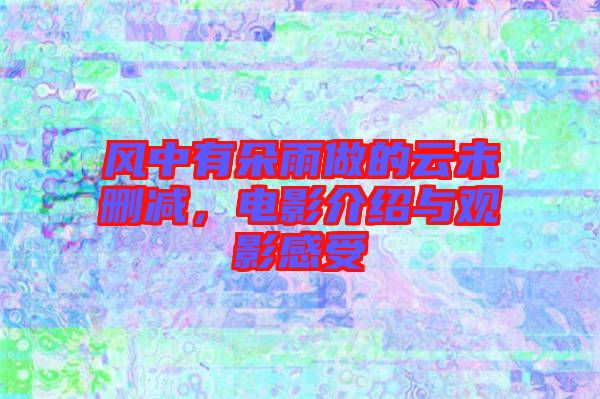 風(fēng)中有朵雨做的云未刪減，電影介紹與觀影感受