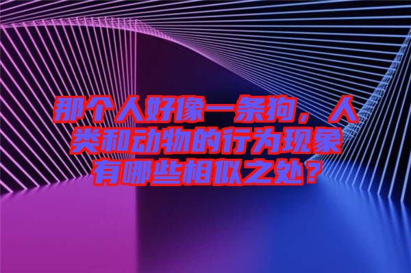 那個(gè)人好像一條狗，人類和動(dòng)物的行為現(xiàn)象有哪些相似之處？