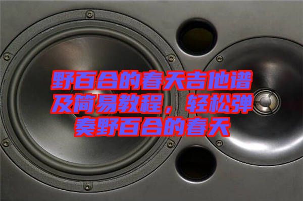 野百合的春天吉他譜及簡(jiǎn)易教程，輕松彈奏野百合的春天